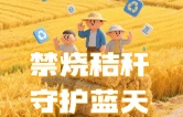 “秸”除隐患，禁烧为“安”：秸秆禁烧关乎你我，速看这份科普指南↓↓↓