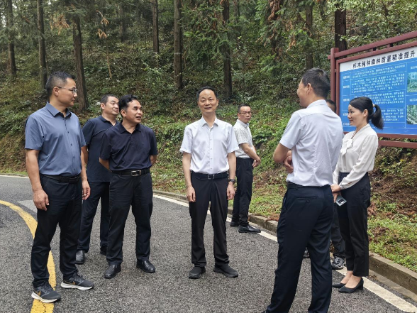 市人大常委会调研组来华容调研林业工作