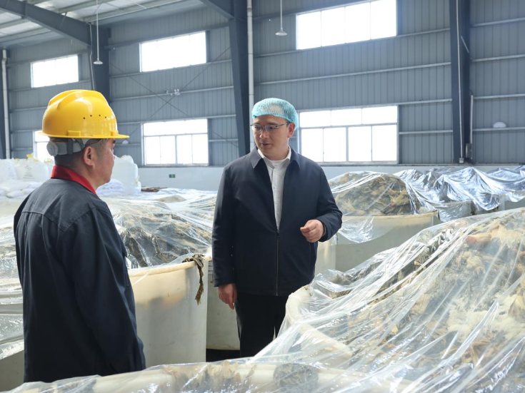 张岳平督导当前重点工作