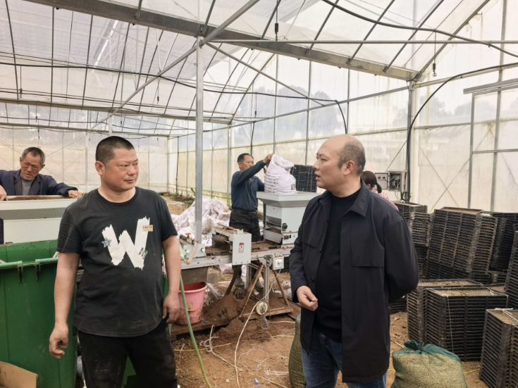 陈飞调研督导春耕生产和农田保灌工作