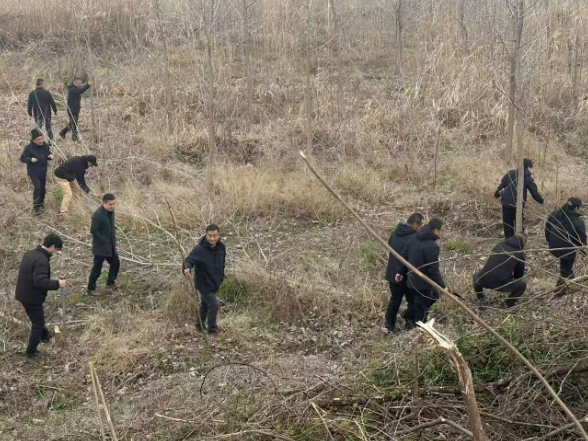 重拳整治“游击种养” 全力守护华容长江岸线