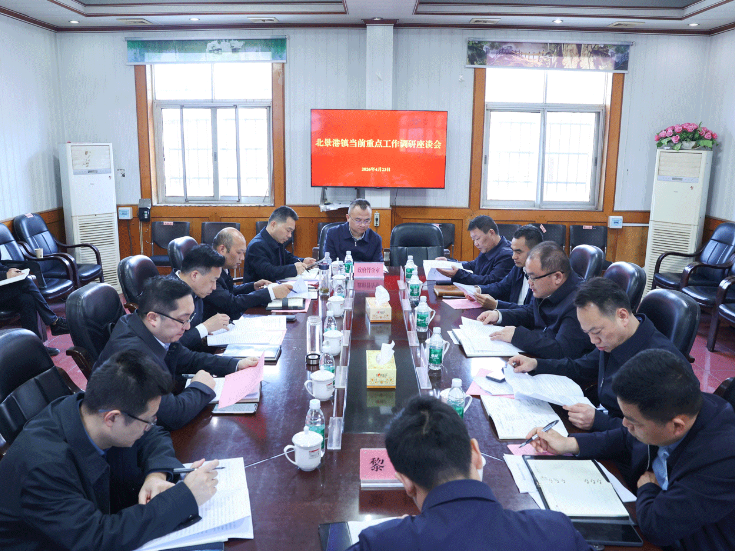 周鹏到北景港镇调研重点工作