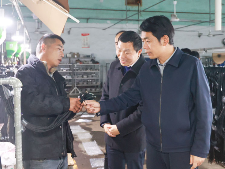 方洁调研治河渡镇当前重点工作