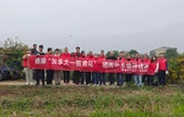 清除“加拿大一枝黄花” 筑牢生物安全屏障