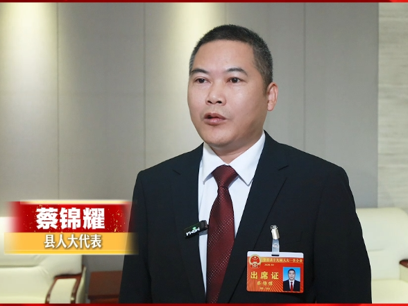 【聚焦两会】华容县第十九届人民代表大会第一次会议开幕，人大代表们这样说