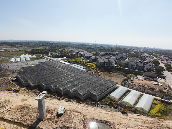 华容县：抢抓农时忙育秧 奏响备播“进行曲”