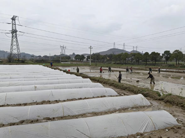 禹山镇：党建引领聚合力 春耕一线显担当