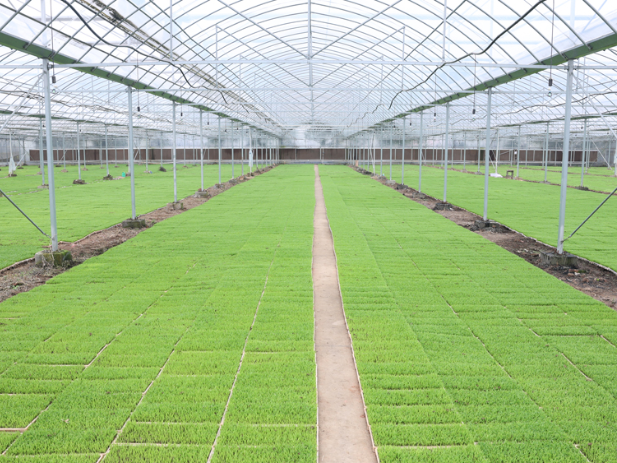 周鹏到东山镇、三封寺镇督导防汛备汛、春耕生产等重点工作