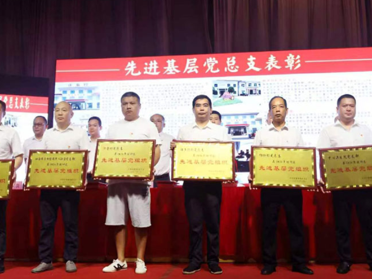 北景港镇召开庆“七一”党员大会