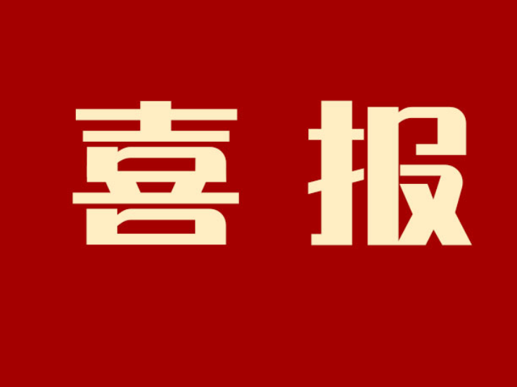 再添市级荣誉！恒兴新材料党支部获评岳阳市先进基层党组织