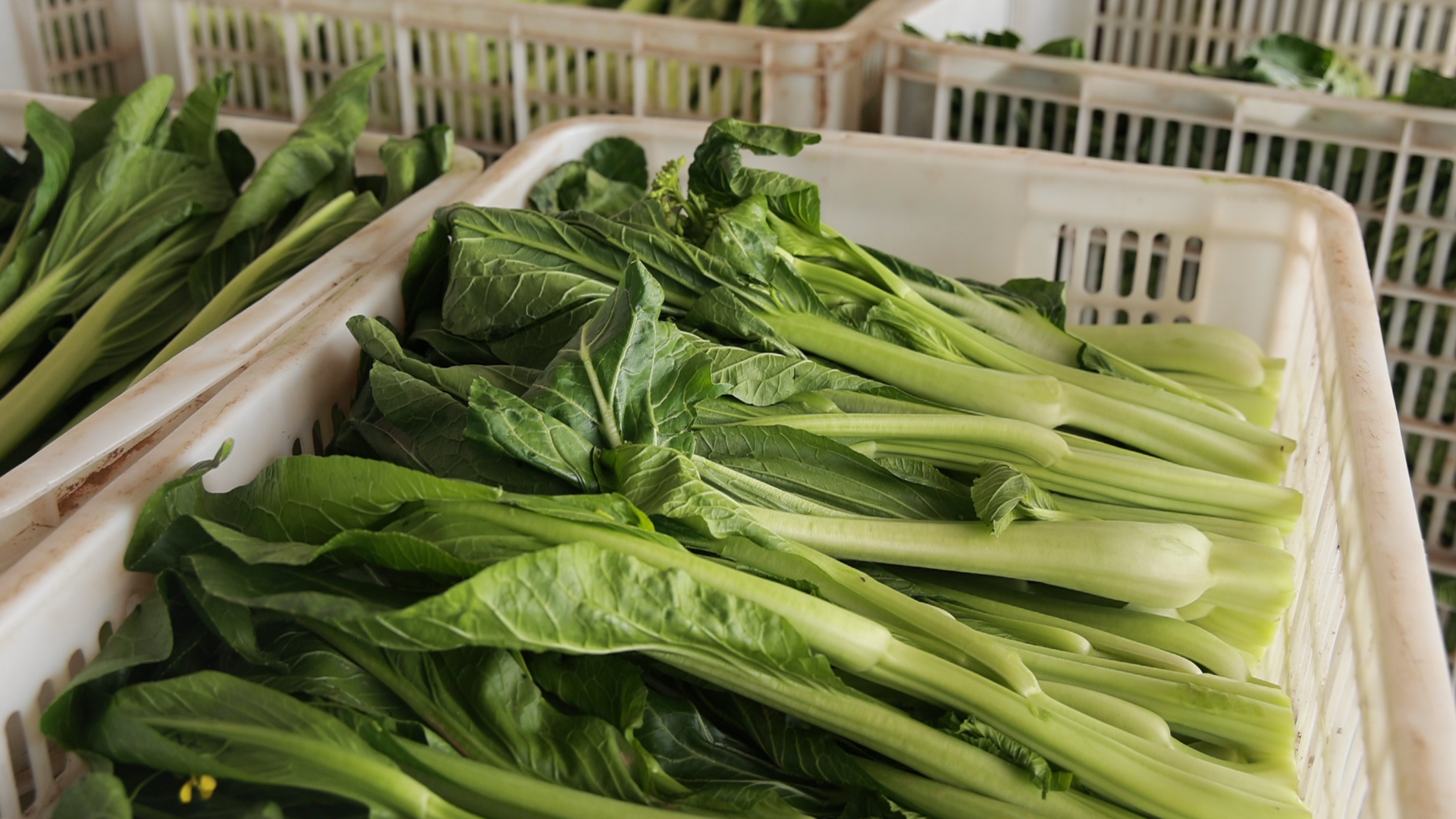 b0e43a3d77362568f32e135023286aef.png b0e43a3d77362568f32e135023286aef.png