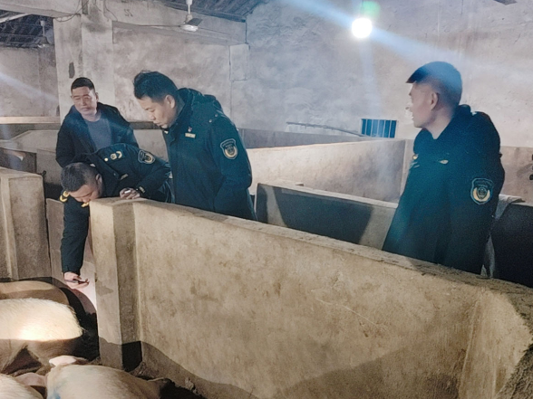 严查“白板肉”！华容县联合执法保障肉类安全