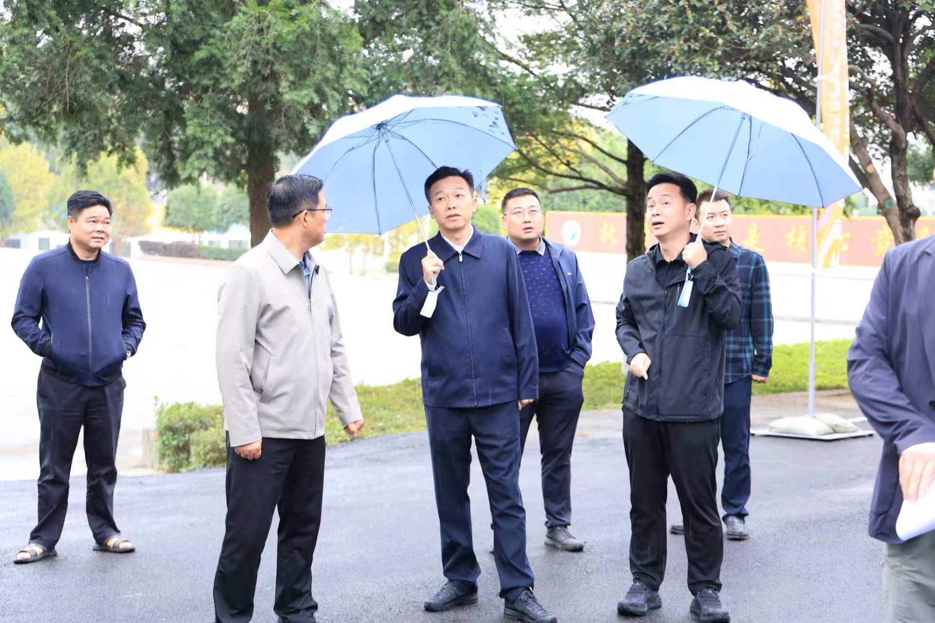 微信图片_20261001181005_50_6.jpg 微信图片_20261001181005_50_6.jpg