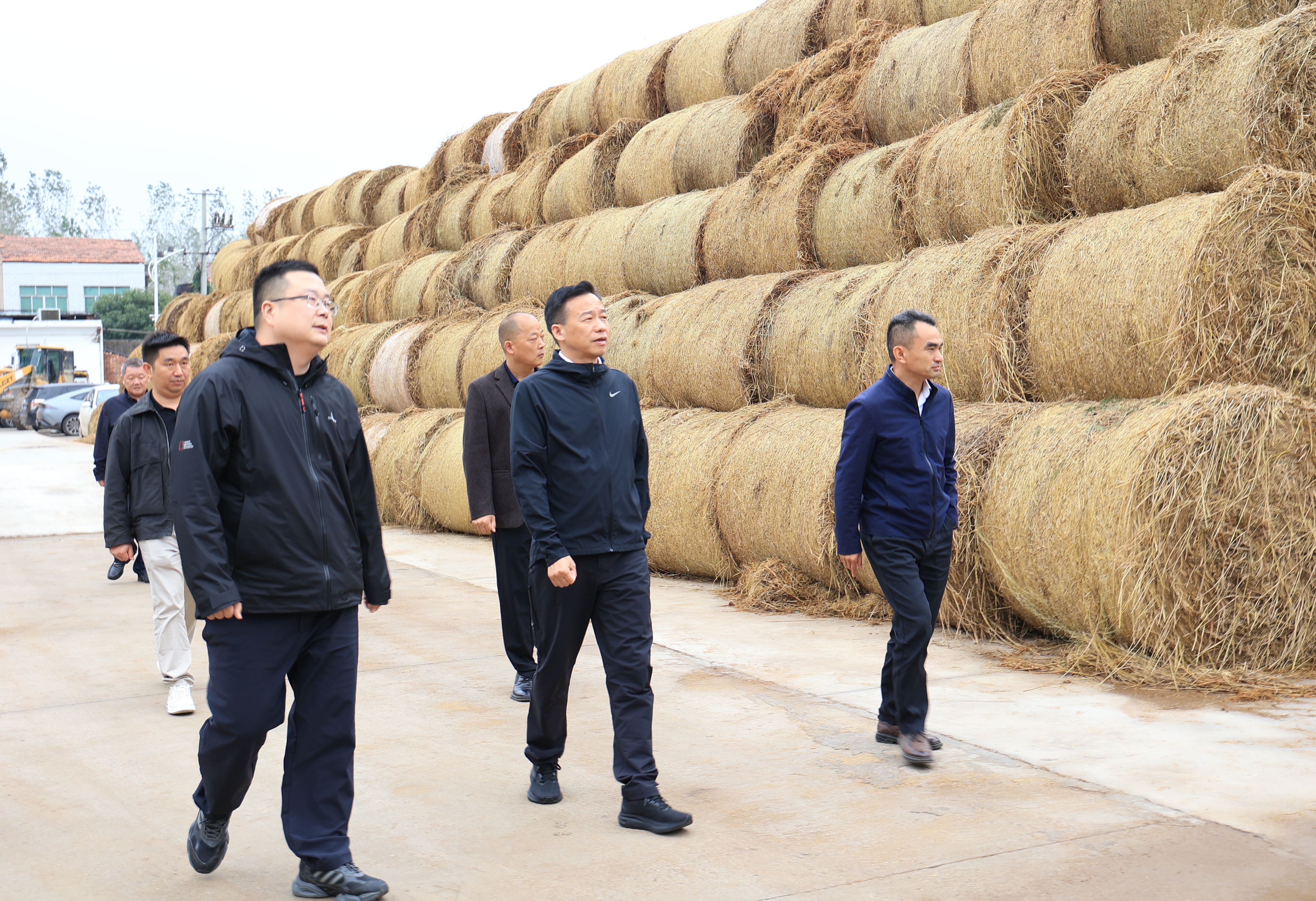 微信图片_20261002170333_4680_191.jpg 微信图片_20261002170333_4680_191.jpg
