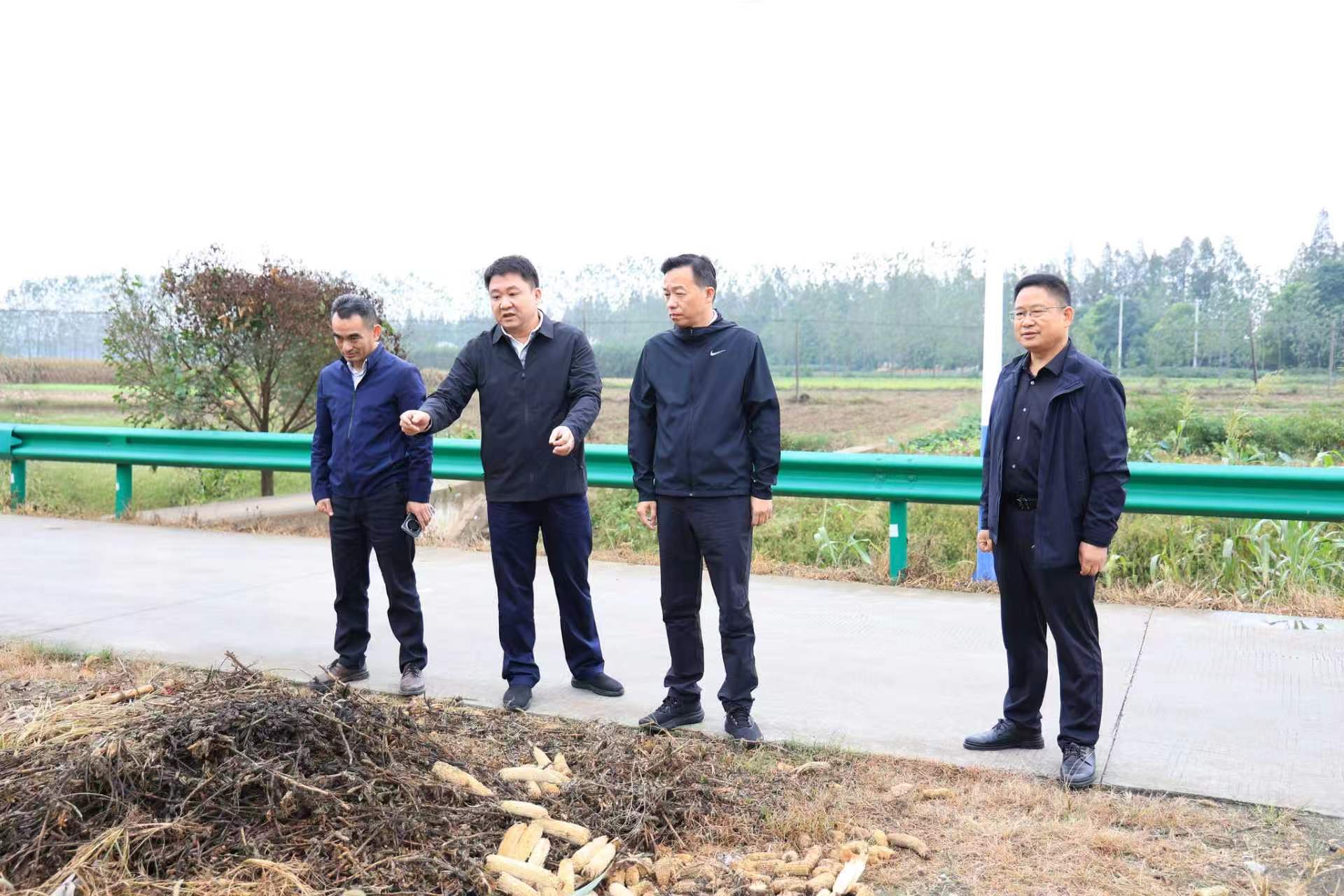 微信图片_20261002170438_4681_191.jpg 微信图片_20261002170438_4681_191.jpg
