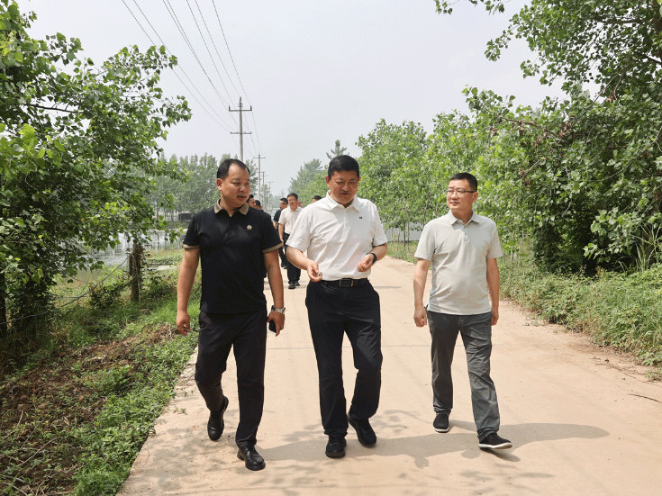 中粮米业来华容县调研