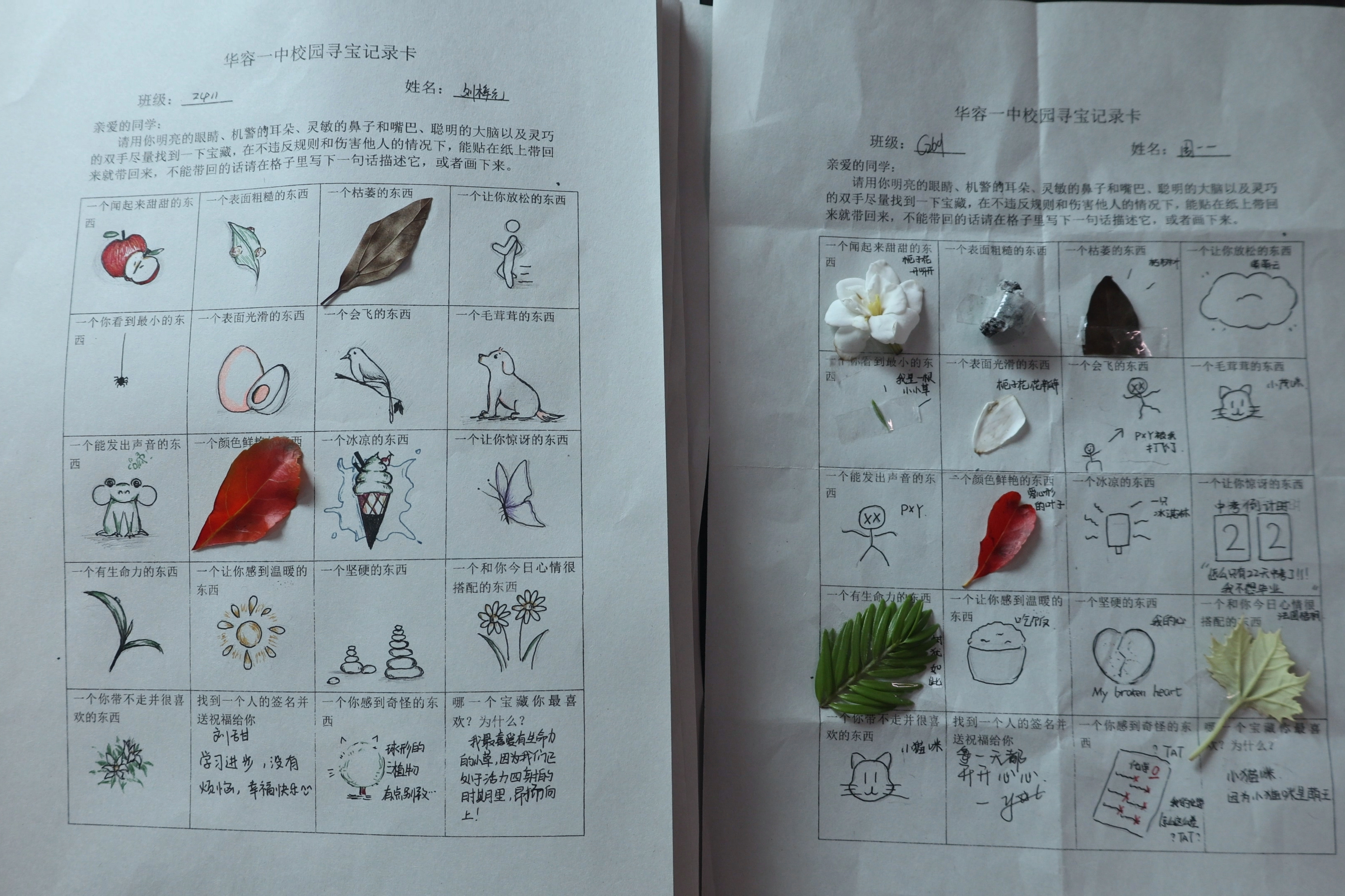 微信图片_20260531231828_6166_182.jpg 微信图片_20260531231828_6166_182.jpg