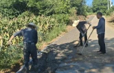 禹山镇终南村：铺就便民致富路