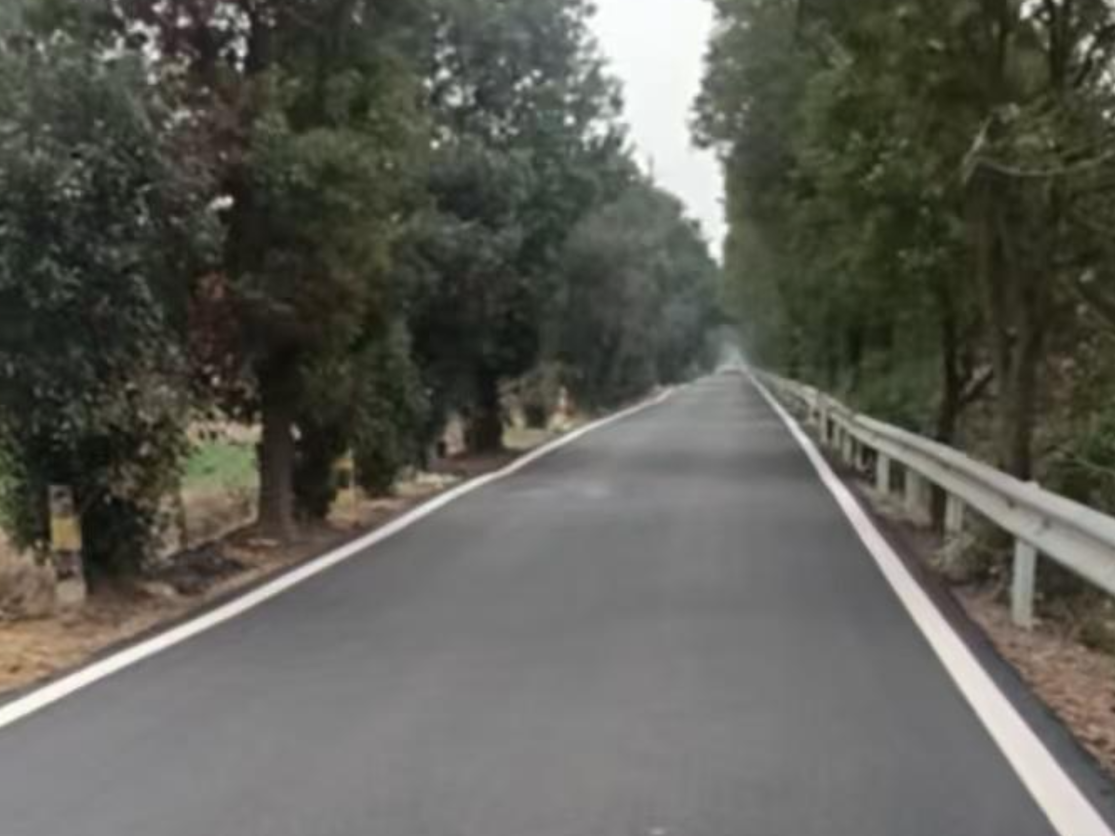 县道焕新  奏响乡村振兴“奋进曲”