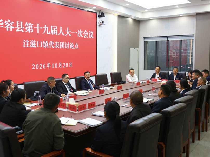 聚焦两会丨周鹏、代虹宇等参加县十九届人大一次会议分团讨论