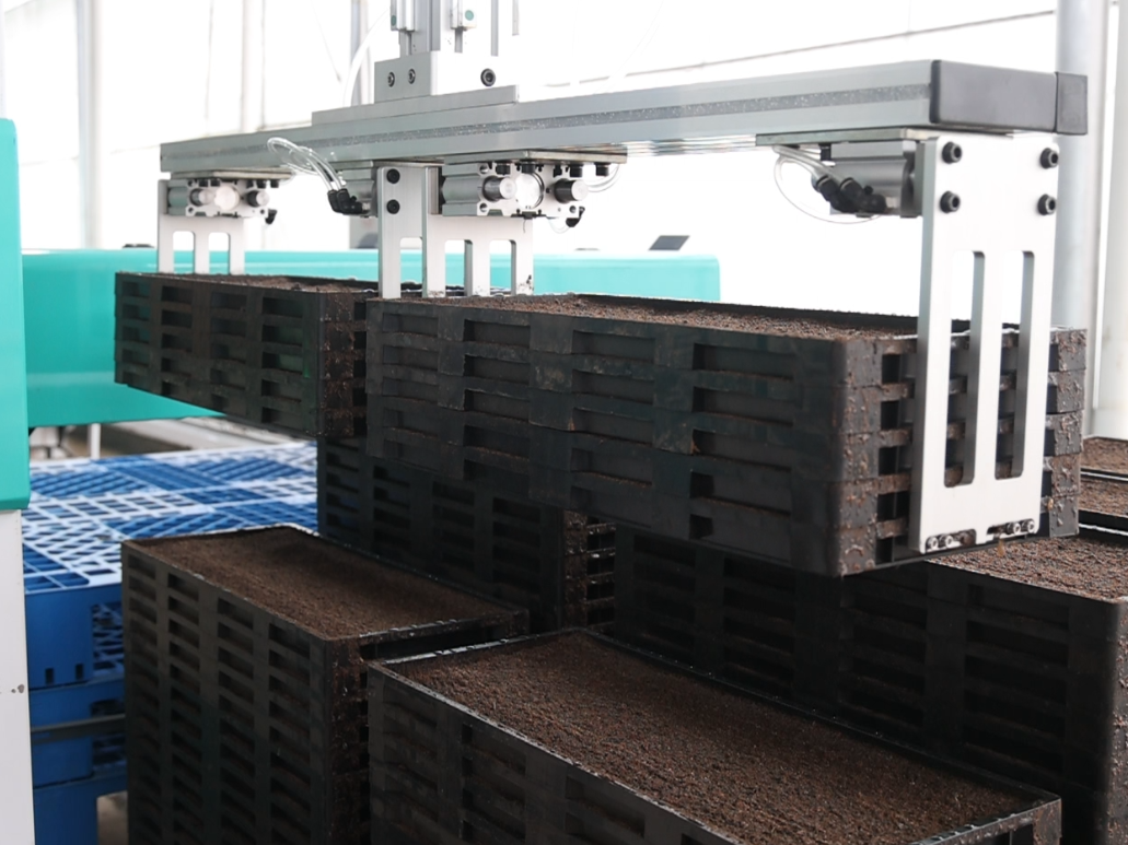 华容县：自动化育秧忙 备播尽显“科技范”