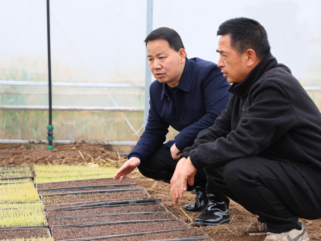 谢专一到北景港镇督导防汛备汛和春耕生产工作