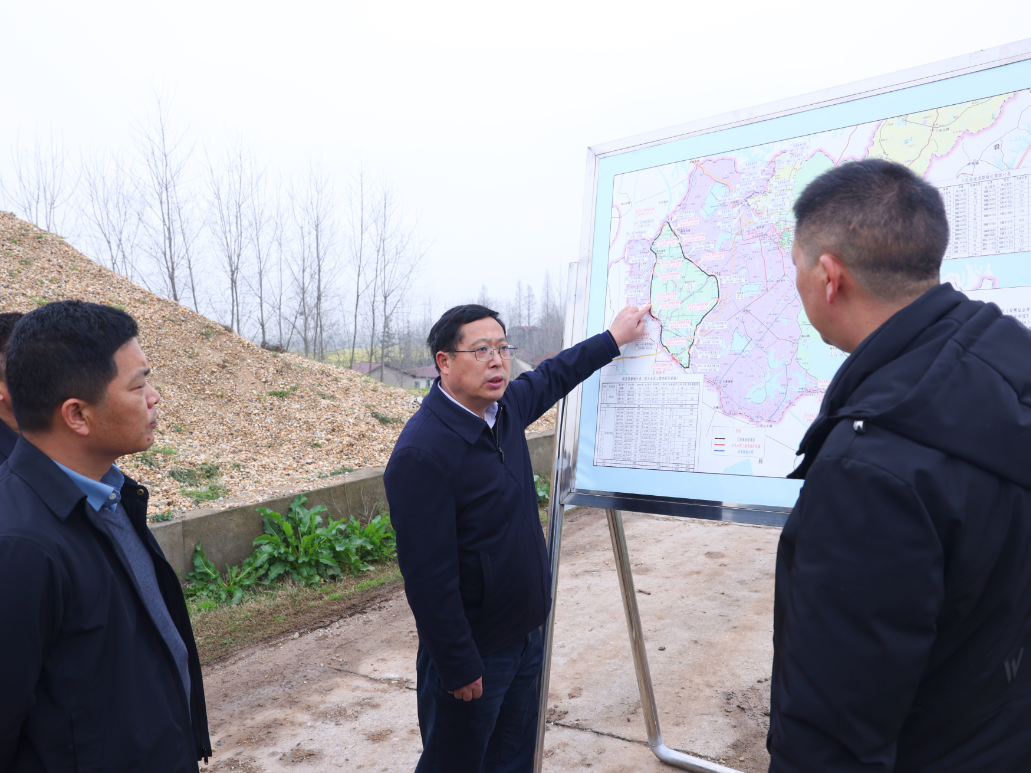 陶伟军督导春耕生产、防汛备汛等重点工作并开展巡林巡河