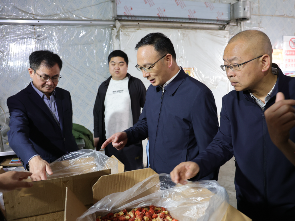 张岳平、黄胜赴新河乡调研督导防汛备汛、安全生产和基层治理工作