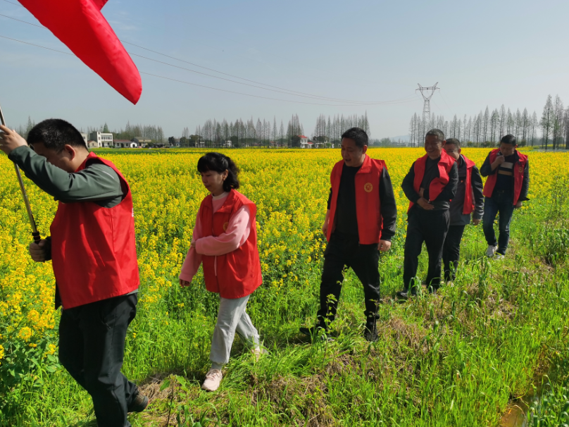 党旗在基层一线高高飘扬｜县自然资源局土地综合整治中心党支部：建强战斗堡垒 当好自然资源守护卫士
