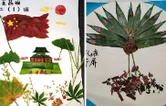 华容县长工实验学校：双减赋能作业创新 巧思点亮多彩假期