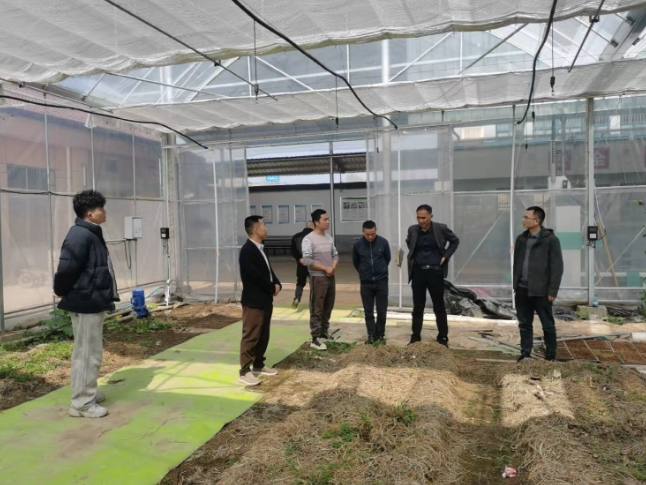 华容县农业农村局：把每一件建议提案都“种”进地里