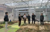 华容县农业农村局：把每一件建议提案都“种”进地里