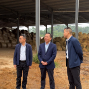 吴艳平专题调度秸秆禁限烧及综合利用工作