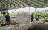 发挥政协监督职能 注滋口镇开展节前安全生产专项检查