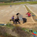 湘乡：龙洞镇多措并举促春播