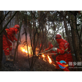 突发山火 湘乡民兵闻令而动紧急救援