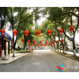 新春走基层丨湘乡：花卉灯笼添年味 红红火火迎新春