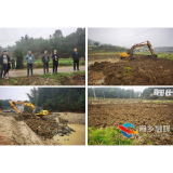 湘乡市金石镇对3处非法占用基本农田挖塘行为进行集中整治