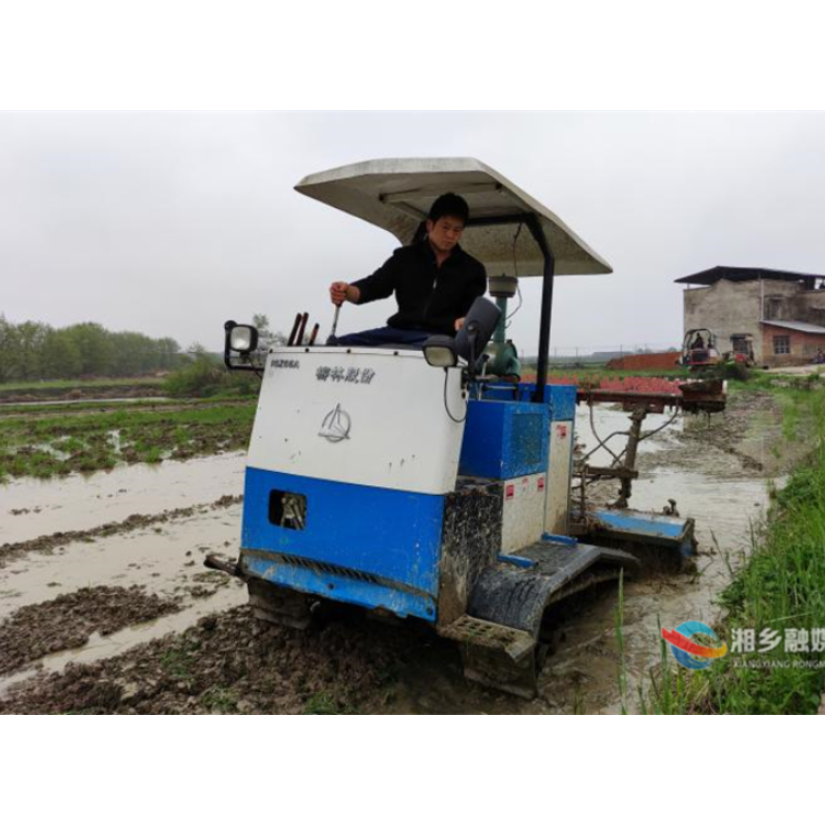 田野春耕忙 湘乡早稻种植热情高