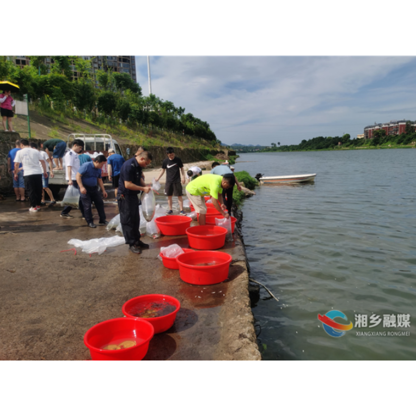 湘乡开展天然水域水生生物增殖放流活动 增殖放流鱼苗300万尾