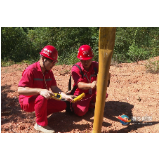 湘乡:燃气巡线员日巡10公里 守护万家烟火