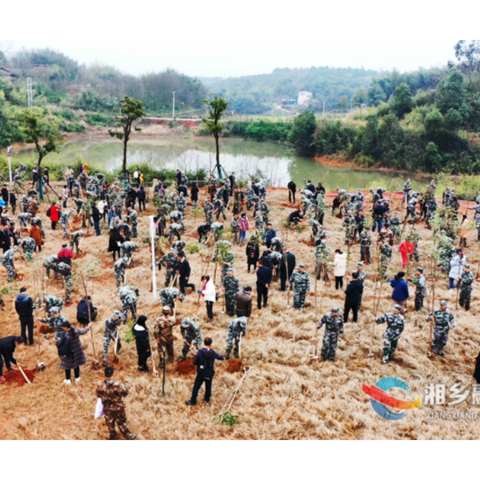 湘乡：150多名入伍新兵种下“许愿树”