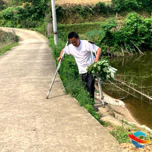 湘乡:残疾贫困户变身“甜蜜”致富行家里手