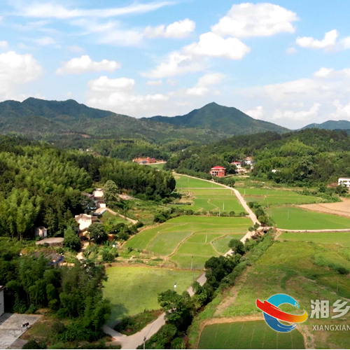 湘乡市梅桥镇上峰村：特色产业兴 集体经济强