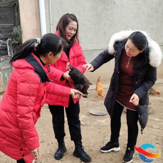 新春走基层丨湘乡梅龙村陈琼:勤劳双手创造幸福生活