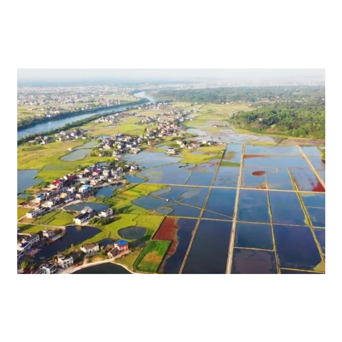 湘乡这五年｜乡村振兴新画卷，人民生活幸福景！