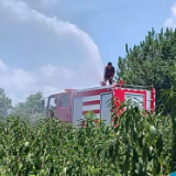 湘乡市棋梓镇党员群众齐上阵 抗旱救灾保粮收