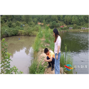 湘乡市林业部门加强常态化普查 加大外来入侵物种防控力度