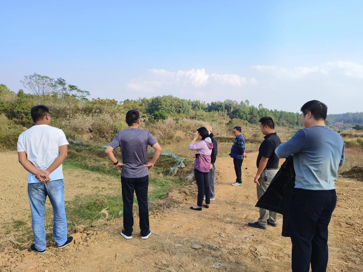 双清区高崇山镇：建设高标准农田，助力营商环境(图1)