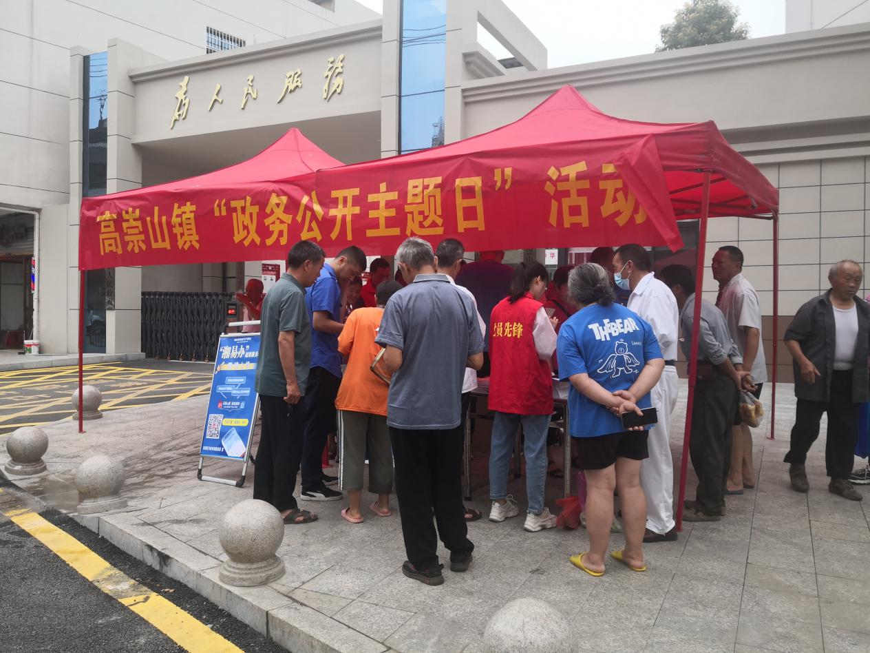 高崇山镇 开展“政务公开主题日”活动(图1)